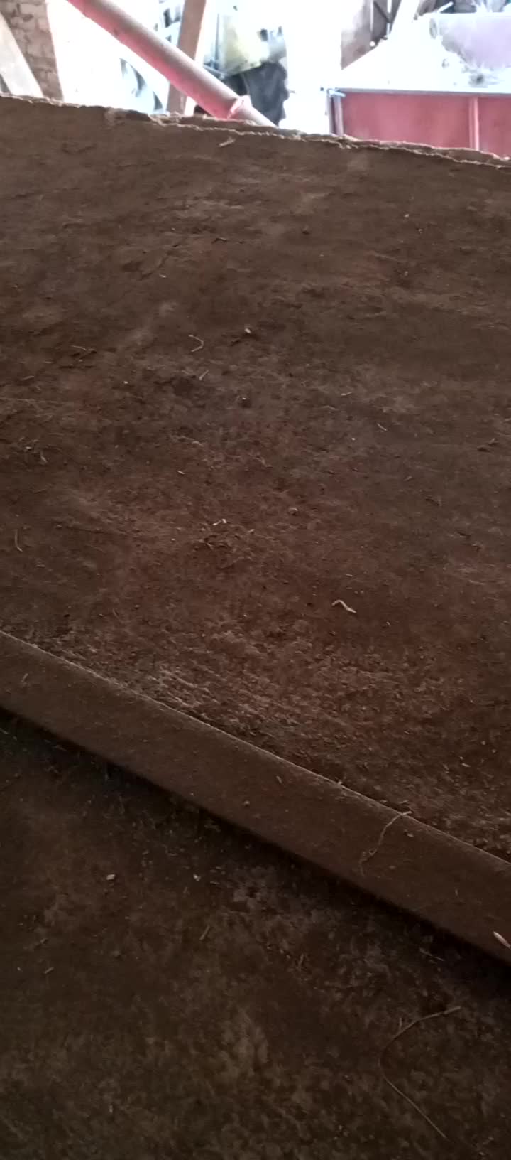 Profile Image for VikingSkinhead